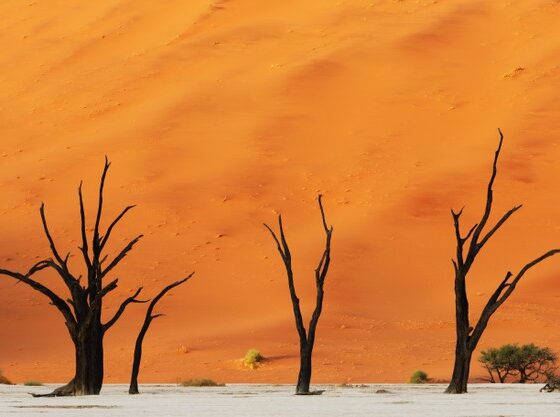 dunyamiz-yok-mu-oluyor