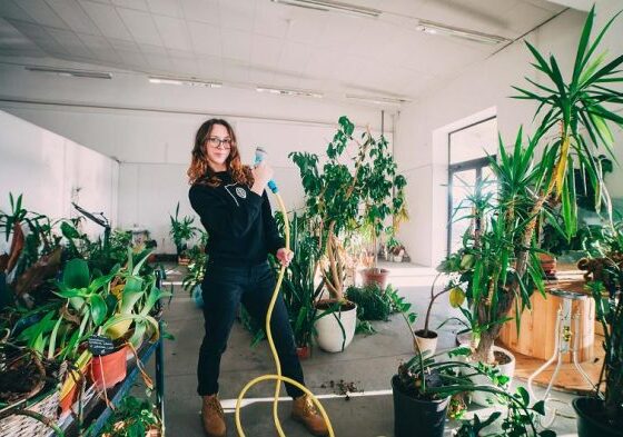 eko-terapist-nedir-bitkiler-bizi-nasil-iyilestirebilir