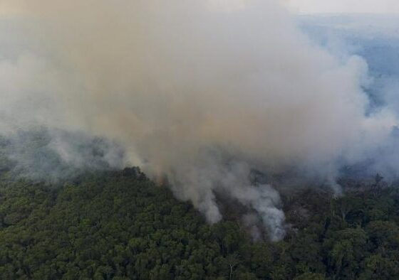 insanlar-orijinal-tropikal-yagmur-ormani-ortusunun-ucte-ikisine-zarar-verdi